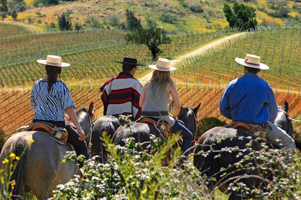 Valle de Casablanca